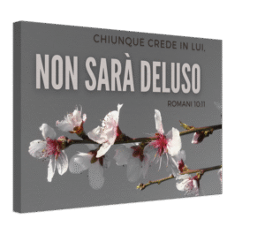 QUADRO SU TELA - ROMANI 10:11